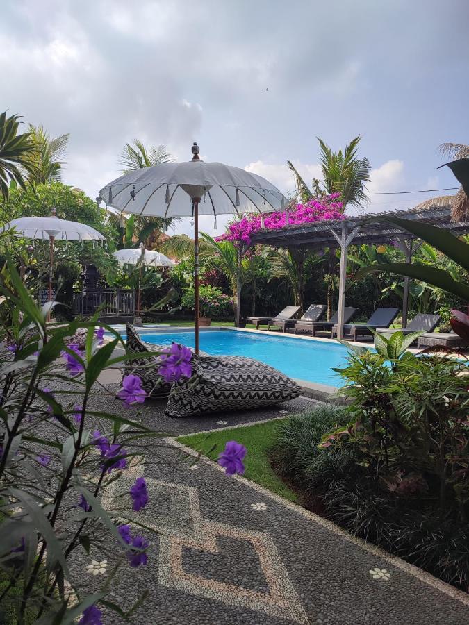 D Anyar Stay And Surf تْشانغو المظهر الخارجي الصورة